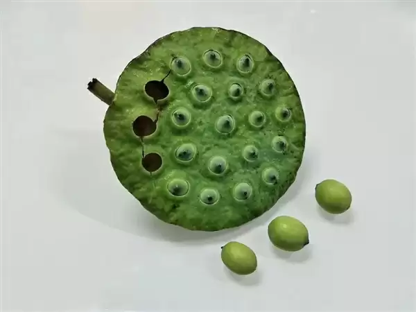 高碳水却低GI的应季美食:三高也能放心吃!错过后悔一年