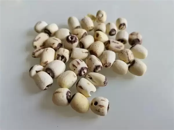 高碳水却低GI的应季美食:三高也能放心吃!错过后悔一年