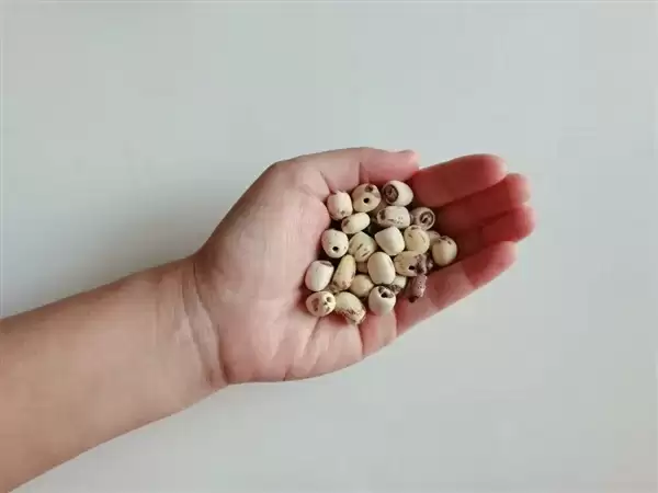 高碳水却低GI的应季美食:三高也能放心吃!错过后悔一年