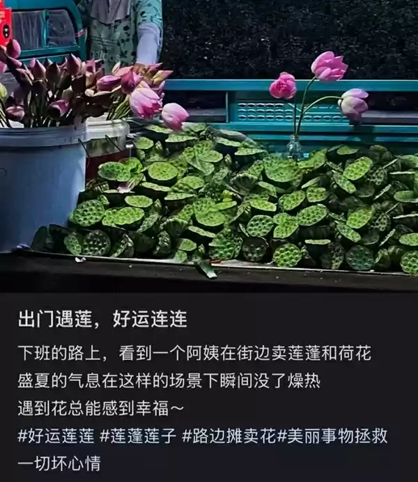 高碳水却低GI的应季美食:三高也能放心吃!错过后悔一年