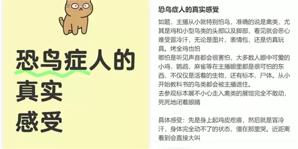 我真的真的很怕鸡！禽类恐惧症 到底是种什么样的感受