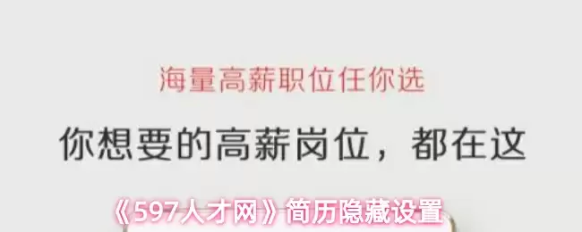 《597人才网》简历隐藏设置