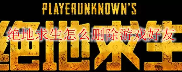 绝地求生怎么删除游戏好友