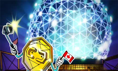 加拿大机构投资者加密资产配置图