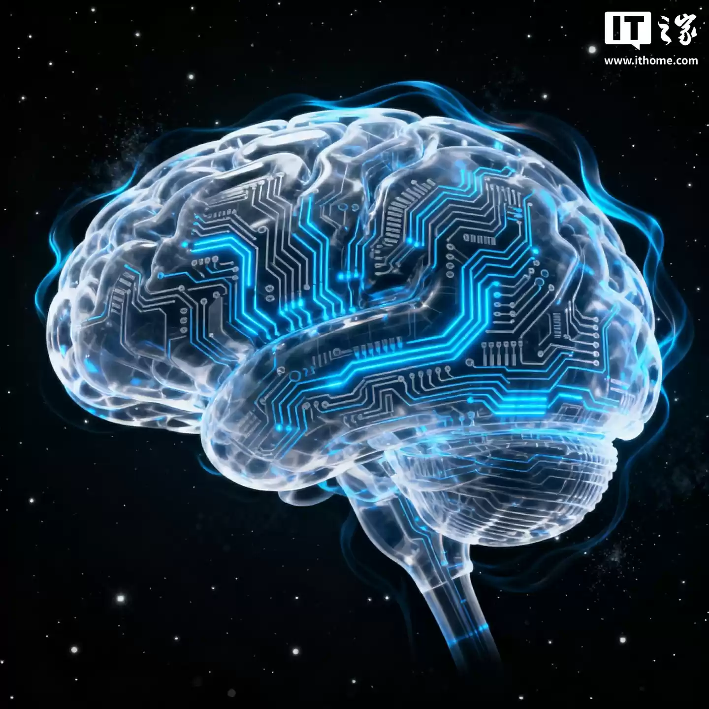 视觉感知非被动过程,新研究发现大脑通过复杂计算构建你看到的世界