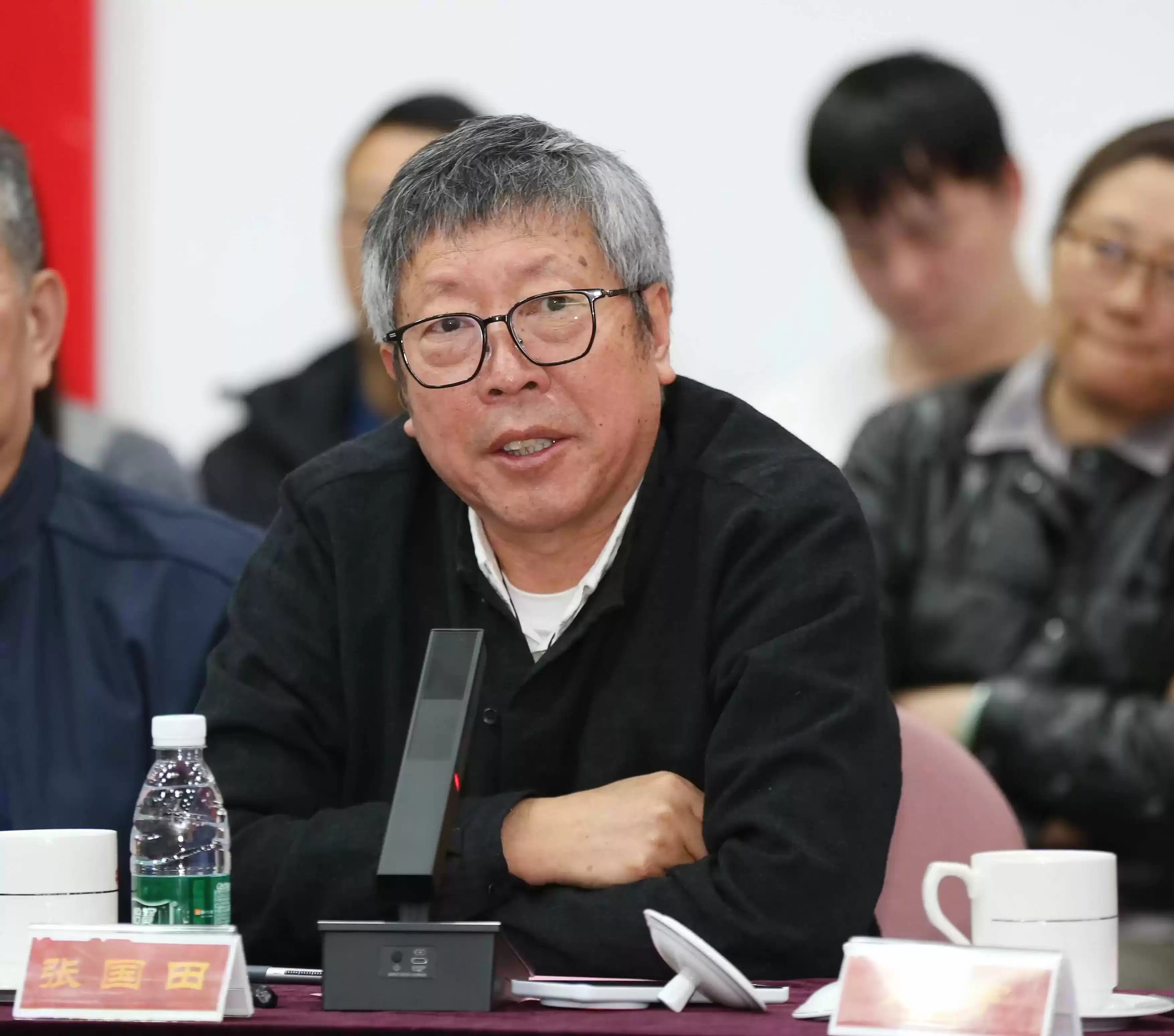 张国田在座谈会上发言