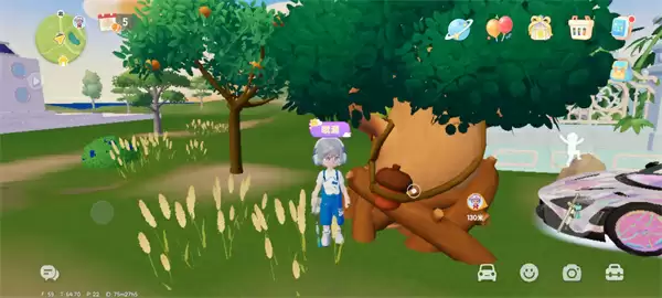 心动小镇9.15溜溜橡木与无瑕萤石位置