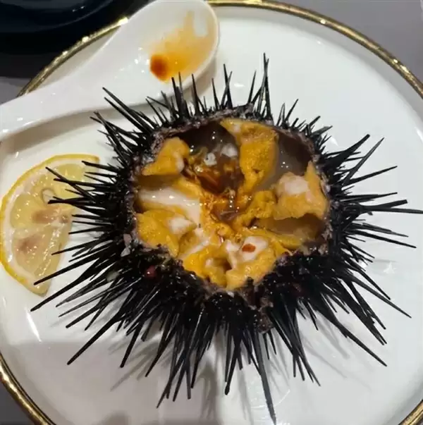 全身都是肉还没有肌间刺 蛇为何进化到如此适合人类食用