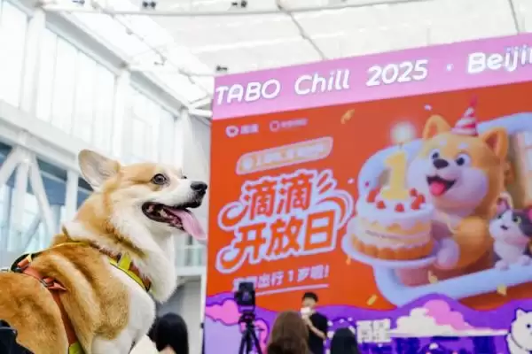 小狗参加滴滴开放日活动