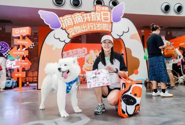 宠物游戏挑战现场