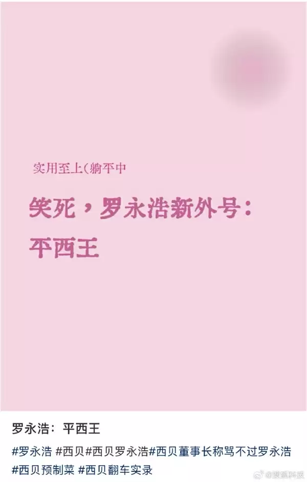 网友赐罗永浩平西王外号：2011年曾一锤砸掉西门子几亿市值