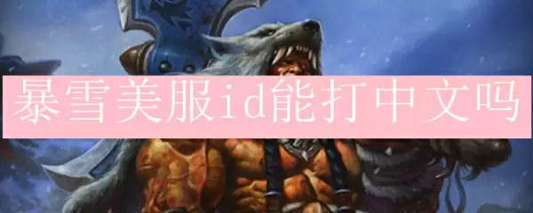 暴雪美服id能打中文吗