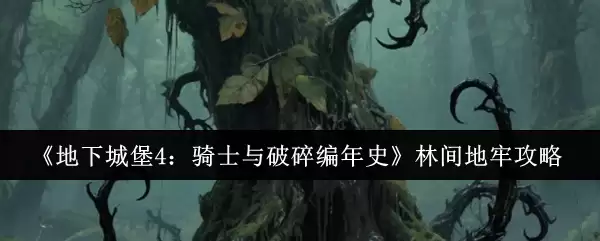 《地下城堡4:骑士与破碎编年史》林间地牢攻略