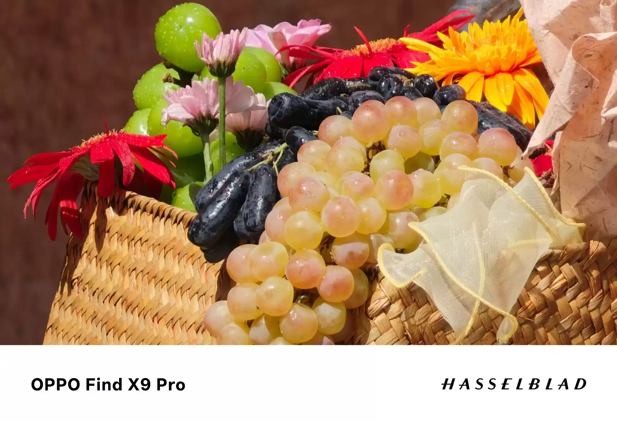 够清晰、够还原、够哈苏，OPPO Find X9系列实现“画质革命”