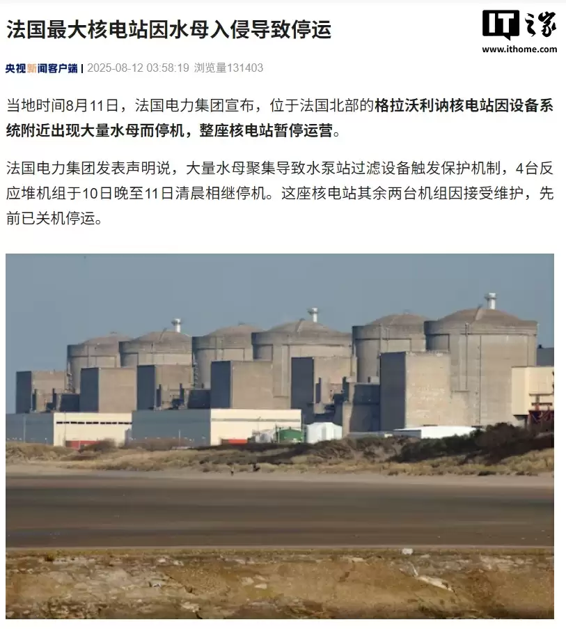 法国最大核电站因水母入侵导致暂停运营