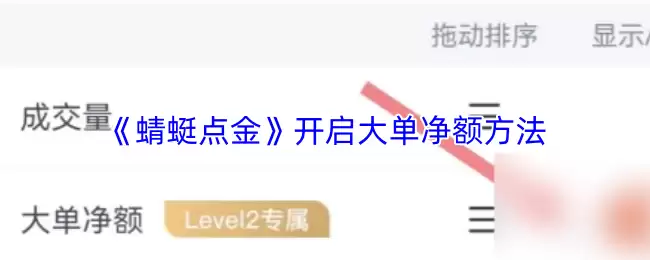 《蜻蜓点金》开启大单净额方法
