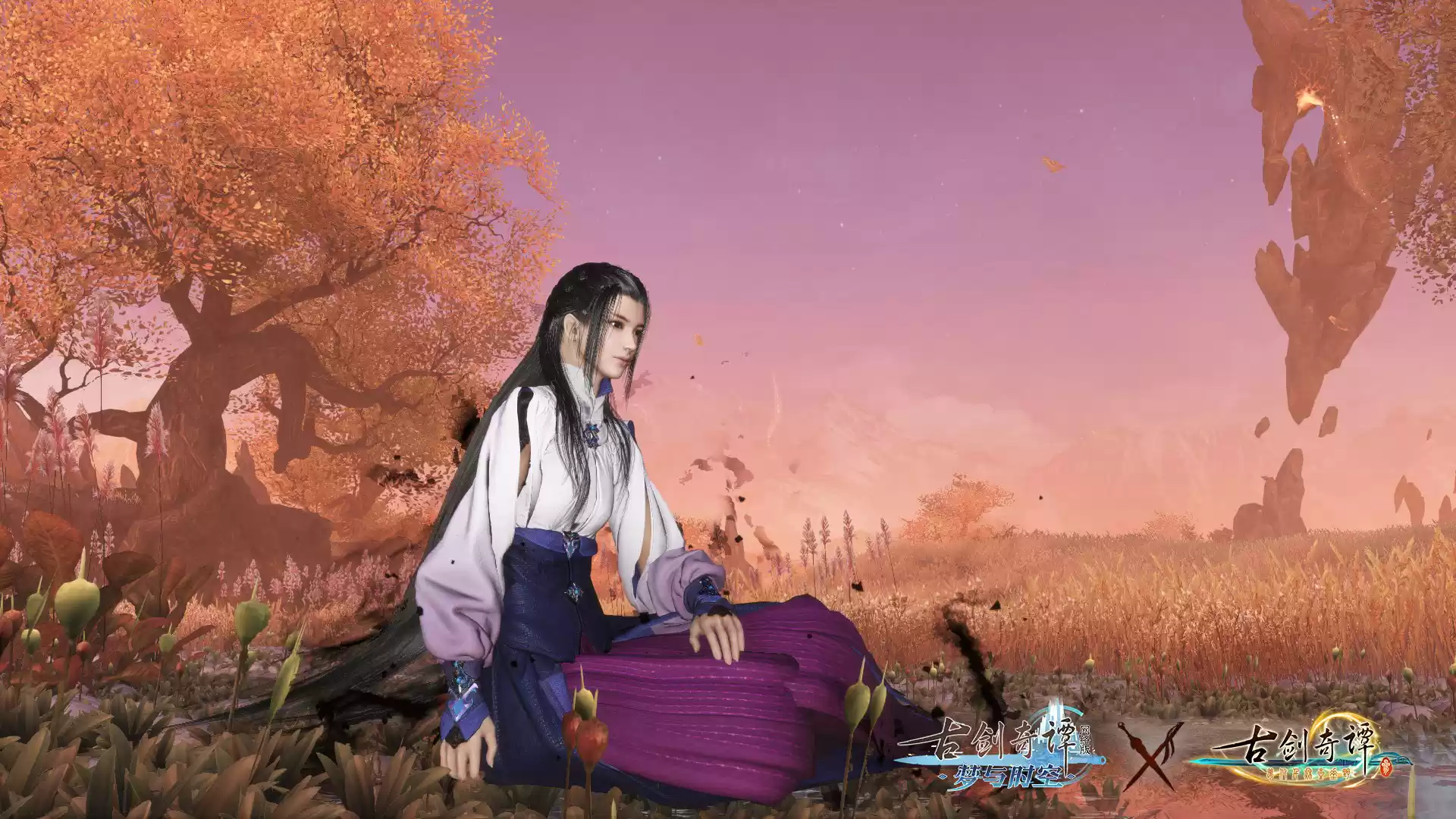 幻念之境-魔影·云无月