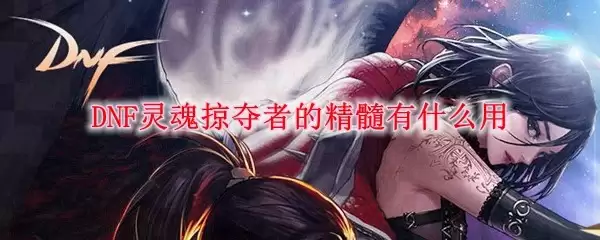 DNF灵魂掠夺者精髓作用
