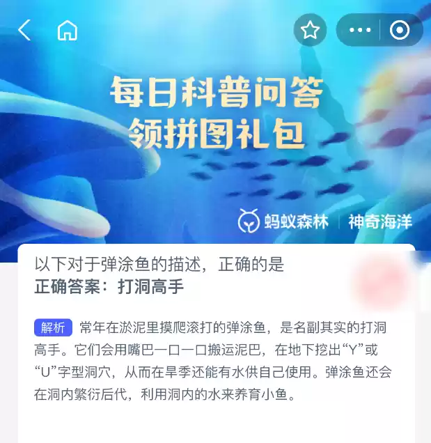 弹涂鱼生活习性示意图