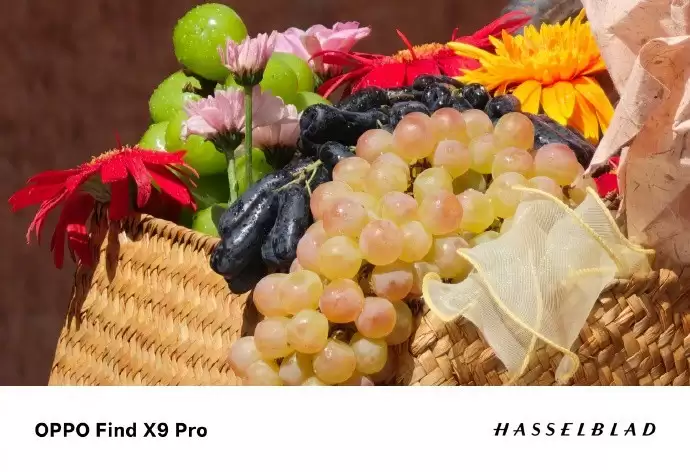 照片细节放大效果