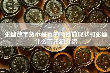 张健数字货币是真的吗目前现状和张健什么币详细介绍