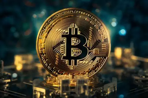 PDA币未来前景分析-第1张图片-本站