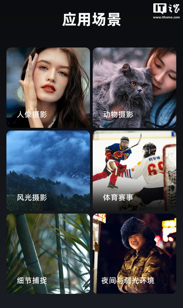 实拍样张