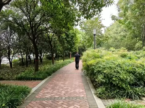 “耐用战神”再进化!OPPO A6 Pro评测:7000mAh + 三重防水够抗打