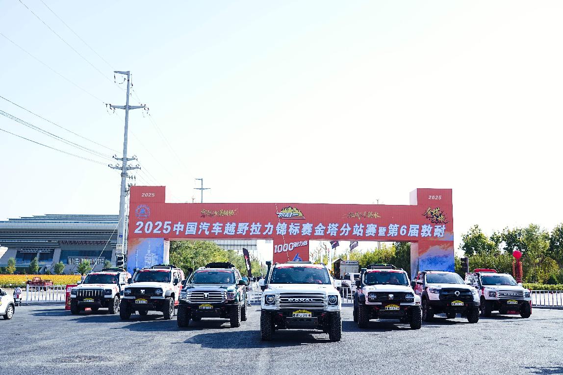 赛车阵容