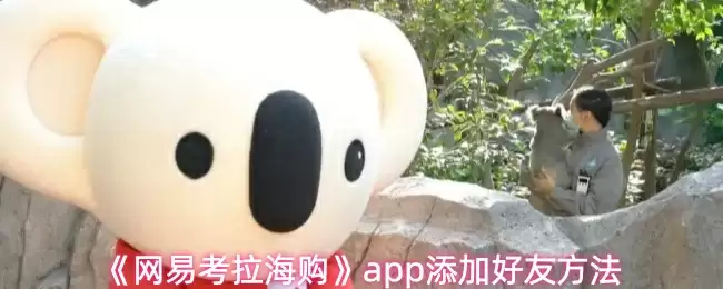 网易考拉海购添加好友方法