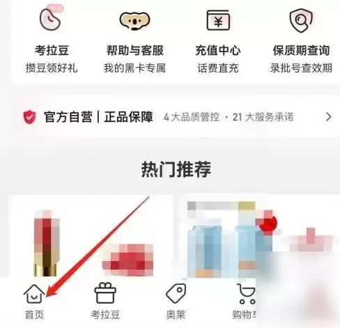 考拉海购app海外直购选择