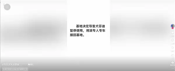 两名盲人带导盲犬爬泰山引争议：网友呼吁将狗狗收回