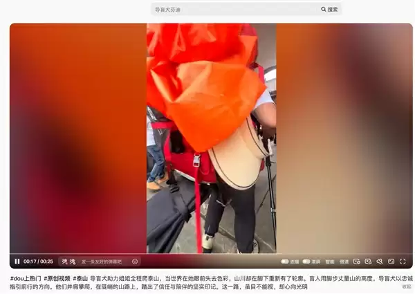 两名盲人带导盲犬爬泰山引争议：网友呼吁将狗狗收回