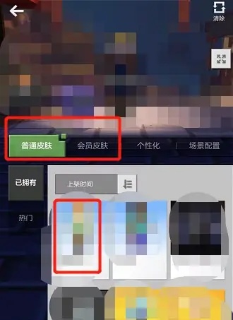 皮肤选择界面
