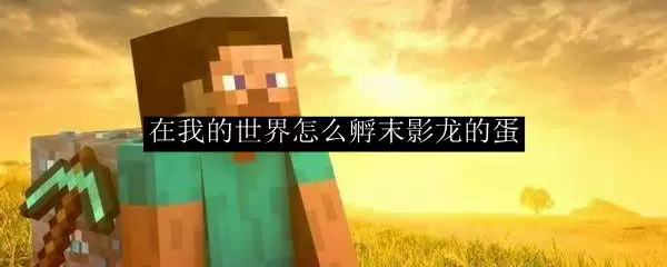 在我的世界怎么孵末影龙的蛋