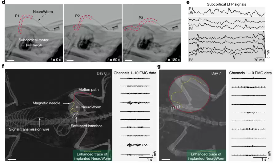 我国科学家开发出