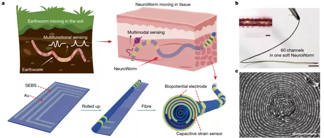 我国科学家开发出