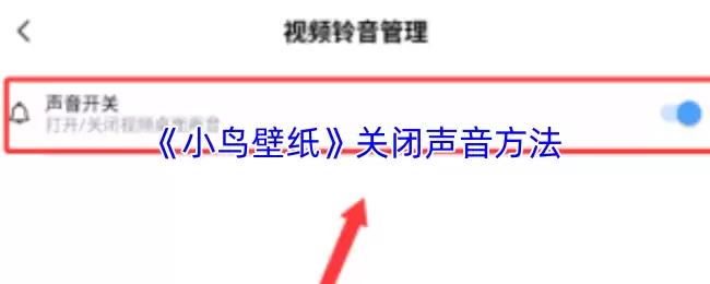 《小鸟壁纸》关闭声音方法