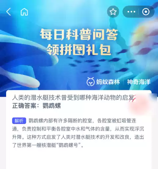 鹦鹉螺结构示意图