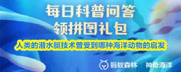 神奇海洋问答