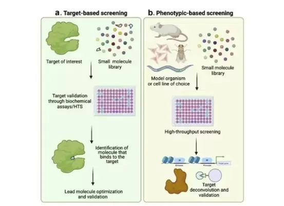 PDD药筛平台如何孕育创新成果？一文解析阿基孚的研发路径