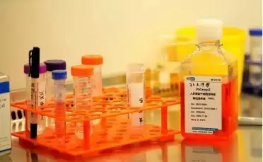 PDD药筛平台如何孕育创新成果？一文解析阿基孚的研发路径