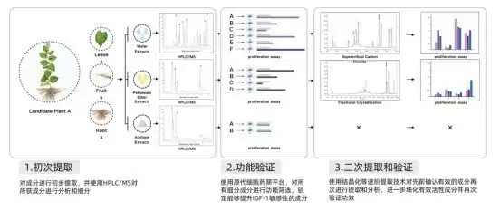 PDD药筛平台如何孕育创新成果？一文解析阿基孚的研发路径