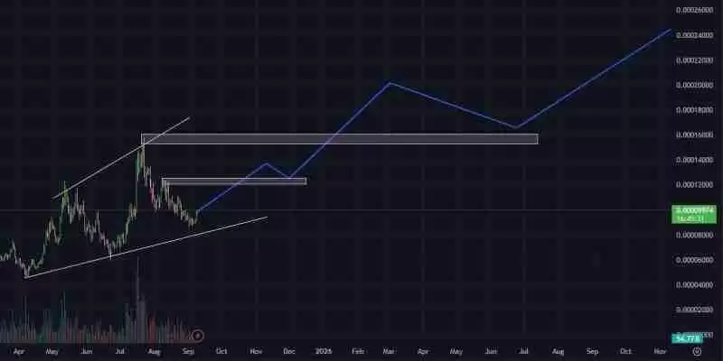 Floki INU (FLOKI)币未来前景如何?FLOKI币2025年、2026年-2030年价格预测
