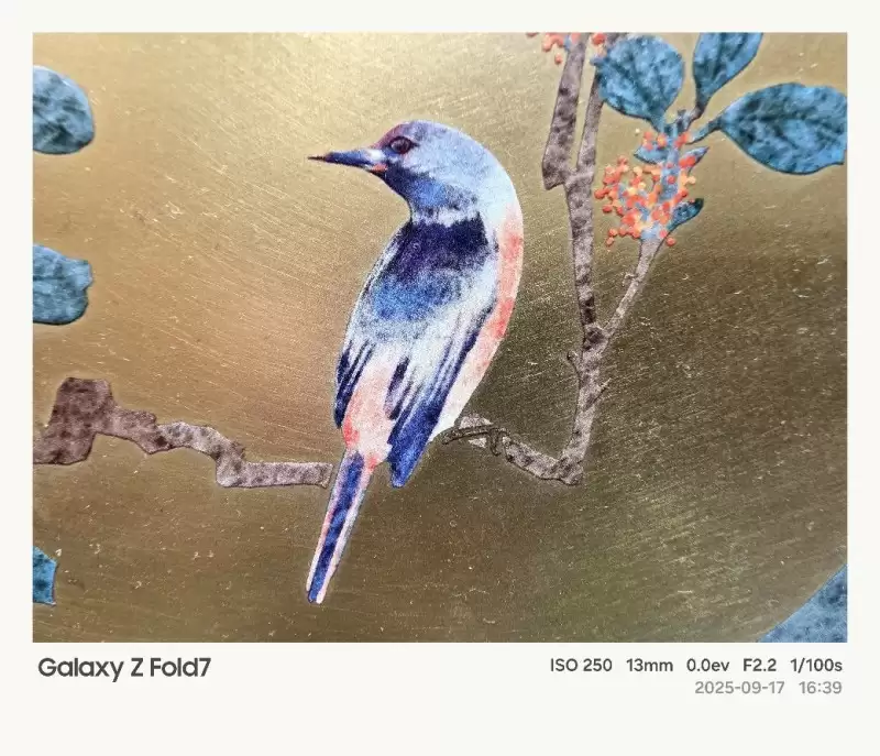 FlipShot功能现场演示