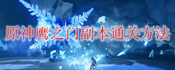 原神鹰之门副本通关方法