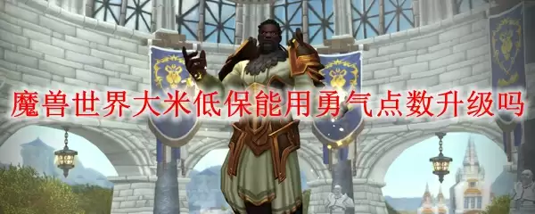 魔兽世界大米低保能用勇气点数升级吗