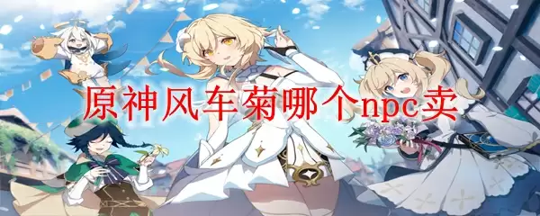 原神风车菊哪个npc卖