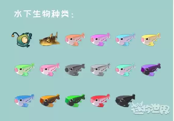 迷你世界鱼类大全介绍