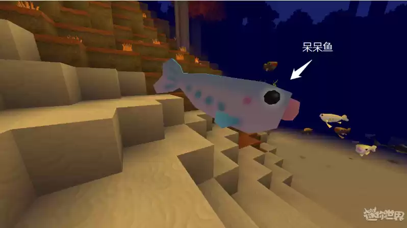 迷你世界鱼类大全介绍